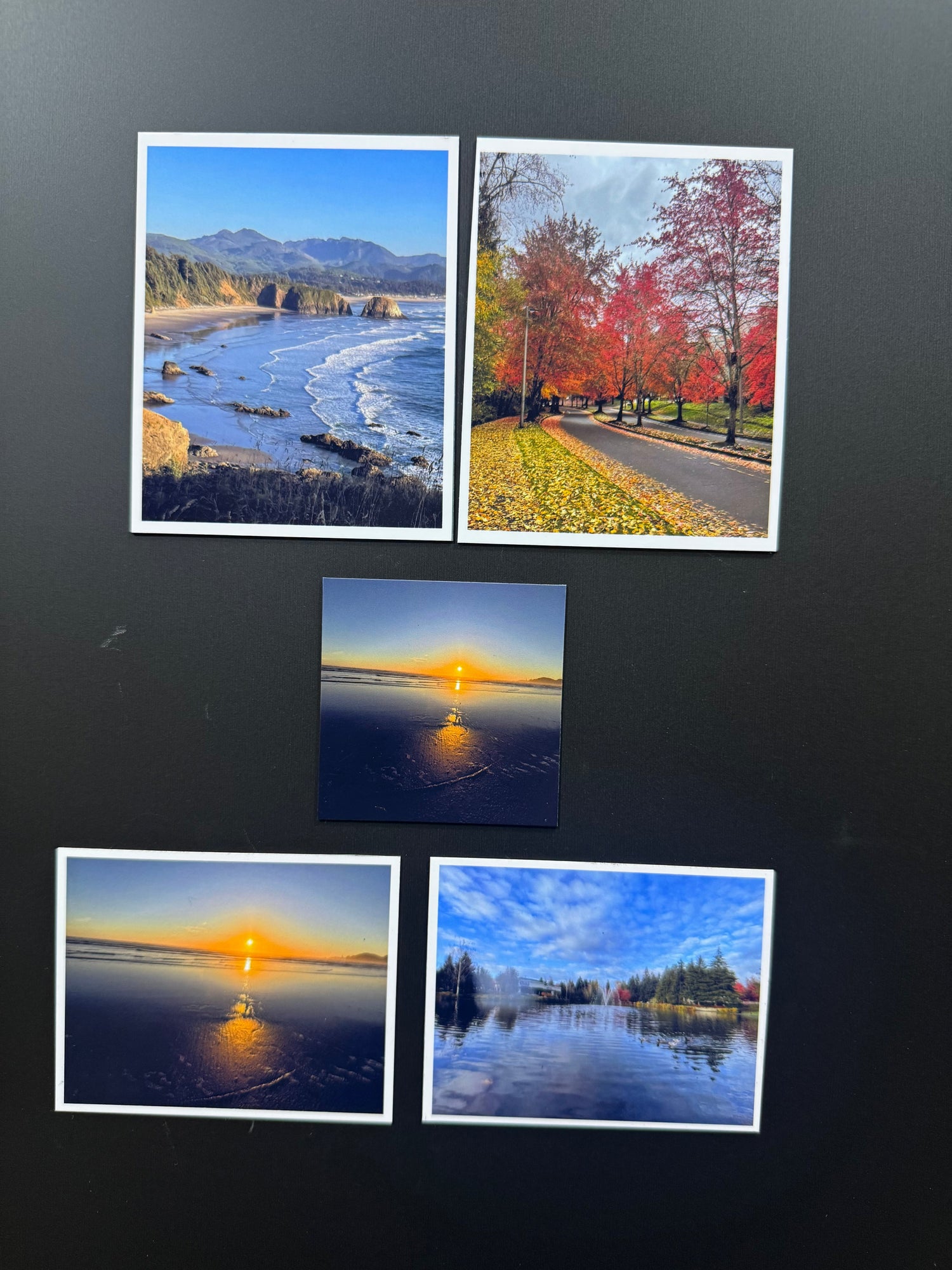 Flexible Photo Magnet Collection