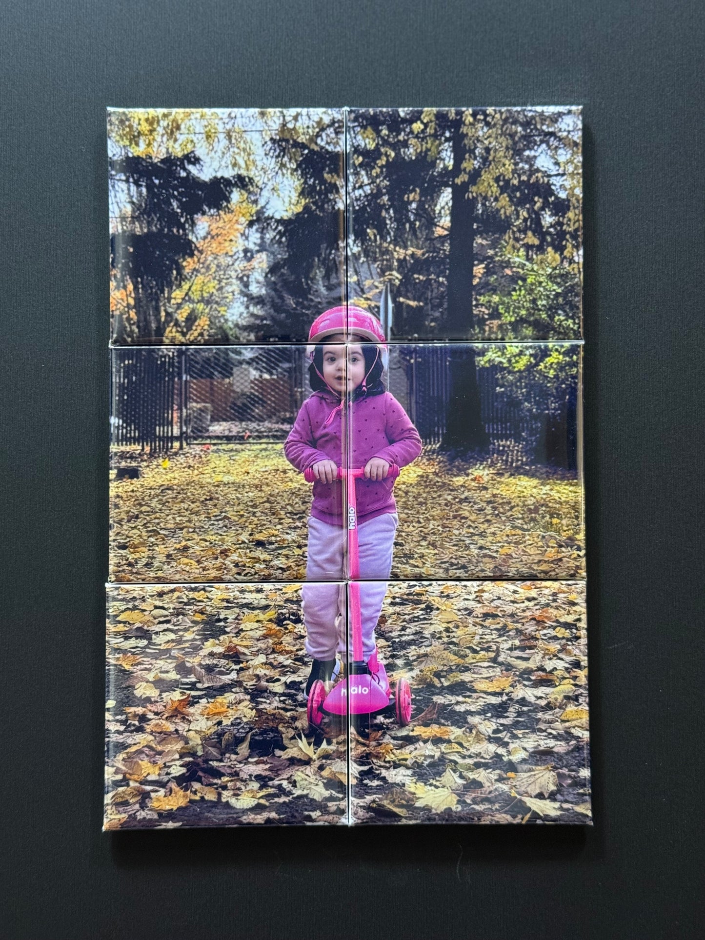 Photo Magnet Puzzles